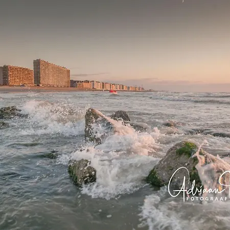 Met Groot Zonneterras Centrum Ostende
